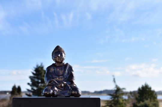 buddha 