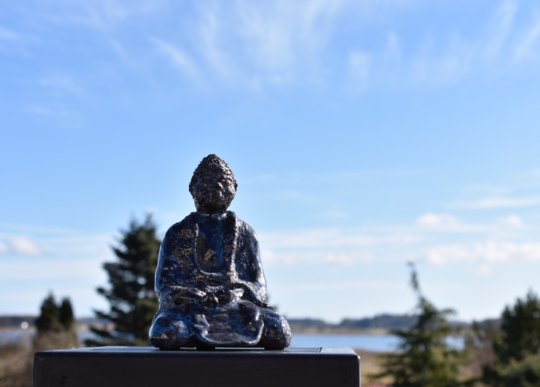 buddha 